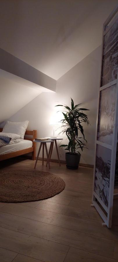 House 11 Leilighet Nikšić Eksteriør bilde