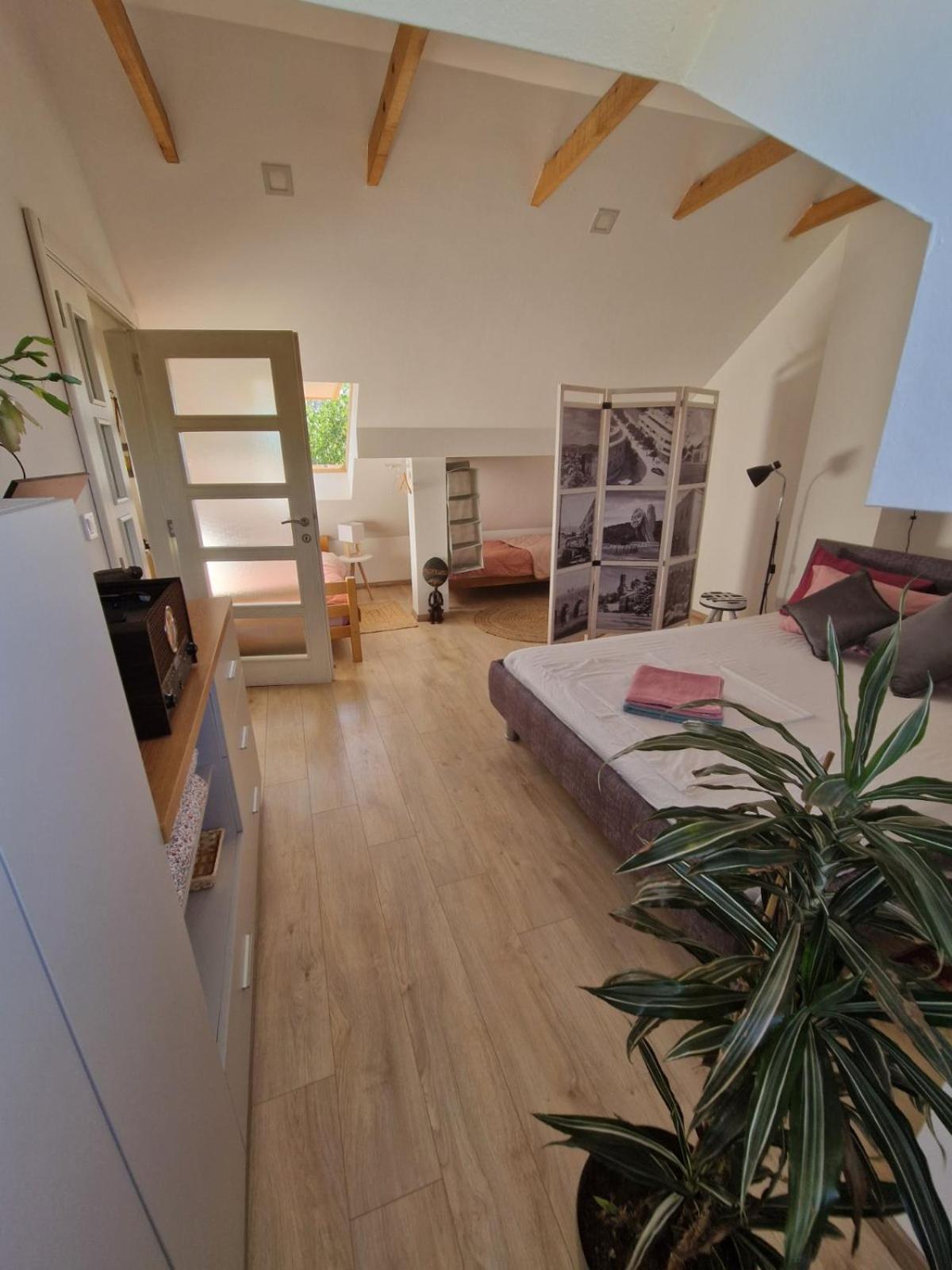 House 11 Leilighet Nikšić Eksteriør bilde